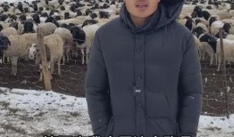 惠然已婚爆料视频播放,揭秘明星婚姻背后的真相